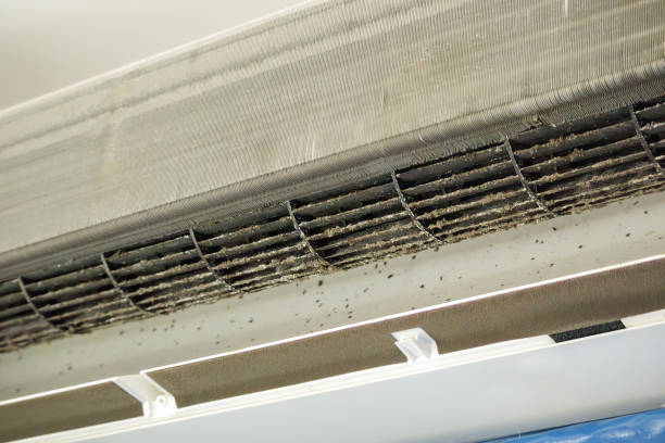 Best Air Duct Cleaning Near Me  in Bonneau Beach, SC